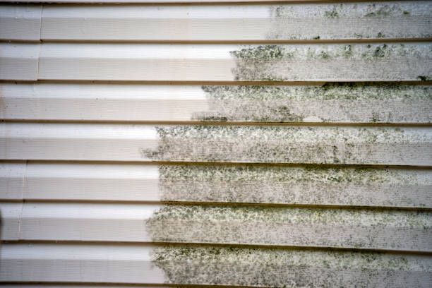 Best Weatherproofing and Sealing  in Bonny Doon, CA