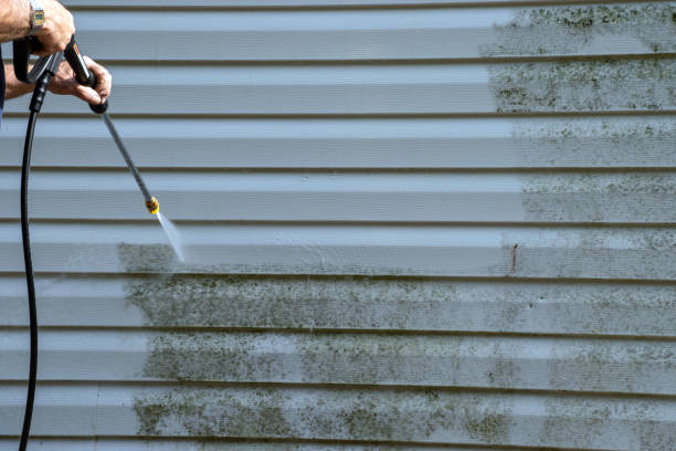 Siding Removal and Disposal in Bonny Doon, CA