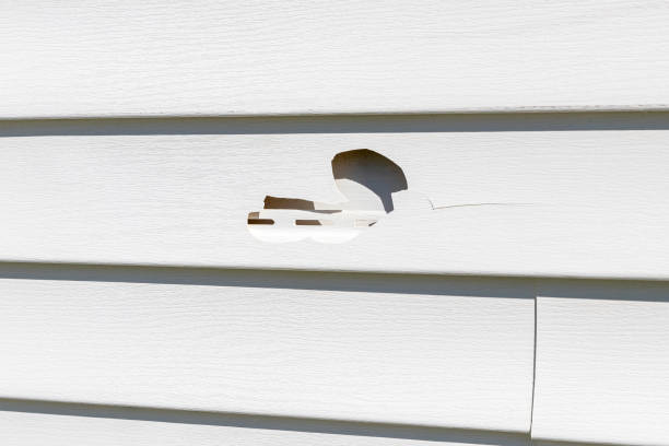 Best Composite Siding  in Bonny Doon, CA